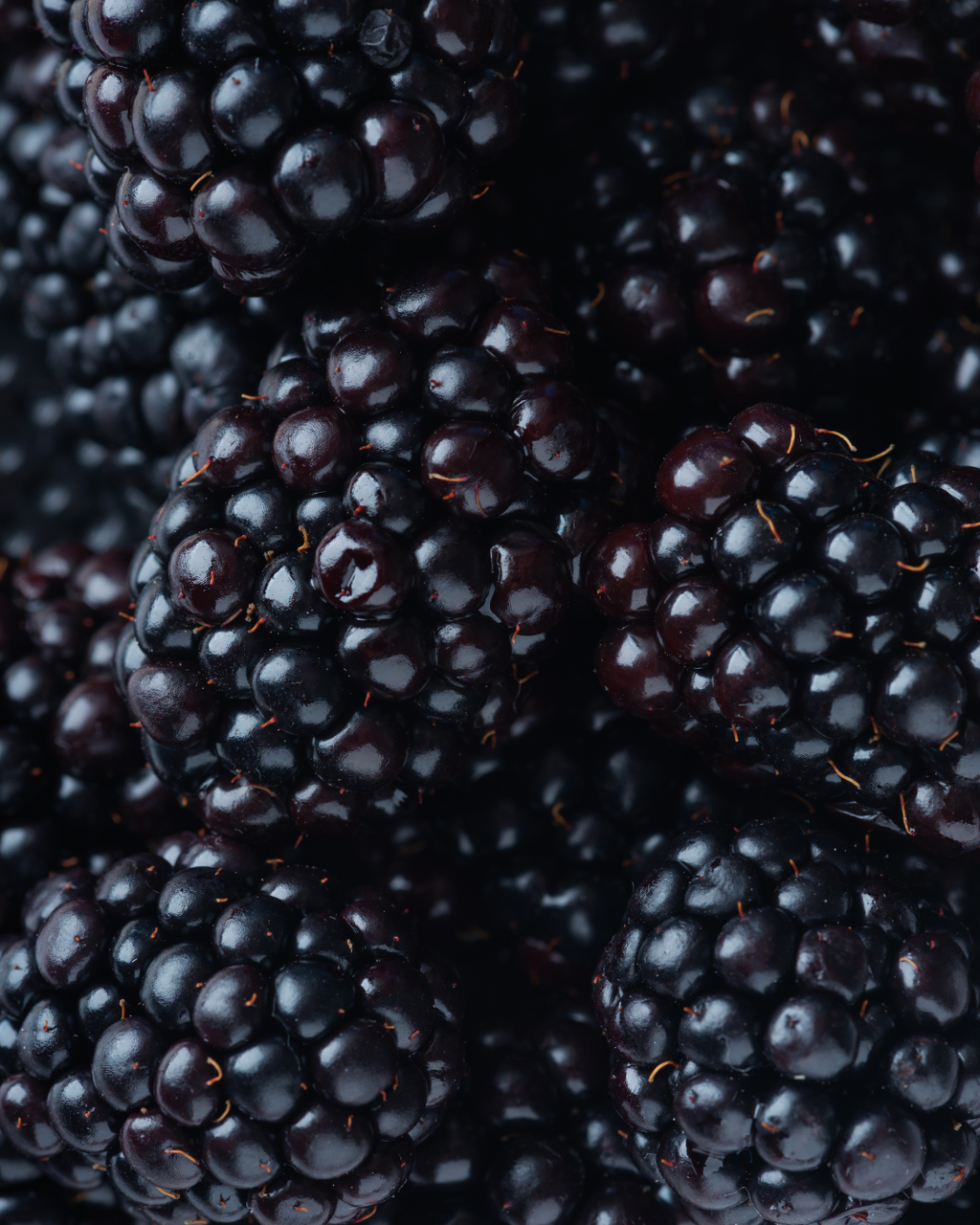 Close-up of blackberries, featured botanical ingredient in Radiant Glow Facial Wash